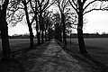 L1002705 - Bernhard Saalfeld