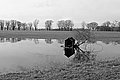 L1002707 - Bernhard Saalfeld