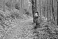 L1002714 - Bernhard Saalfeld