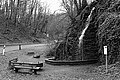 L1002762 - Bernhard Saalfeld