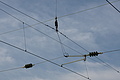 DSC03862 - Bernhard Saalfeld