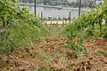 DSC03891 - Bernhard Saalfeld