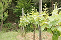 DSC03894 - Bernhard Saalfeld