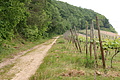 DSC03895 - Bernhard Saalfeld