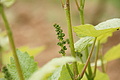 DSC03897 - Bernhard Saalfeld