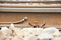 DSC03906 - Bernhard Saalfeld