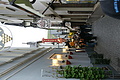 DSC03954 - Bernhard Saalfeld