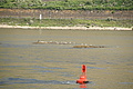 DSC04008 - Bernhard Saalfeld