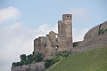 DSC04011 - Bernhard Saalfeld