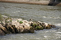 DSC04013 - Bernhard Saalfeld