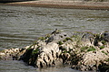 DSC04014 - Bernhard Saalfeld