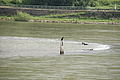 DSC04020 - Bernhard Saalfeld