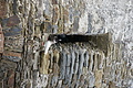 DSC04543 - Bernhard Saalfeld