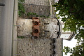 DSC04544 - Bernhard Saalfeld
