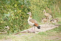 DSC04577 - Bernhard Saalfeld