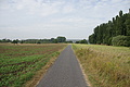 DSC04599 - Bernhard Saalfeld