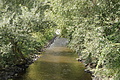 DSC04605 - Bernhard Saalfeld