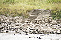 DSC04608 - Bernhard Saalfeld