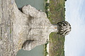 DSC04616 - Bernhard Saalfeld