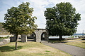 DSC04620 - Bernhard Saalfeld