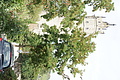 DSC04639 - Bernhard Saalfeld