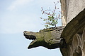 DSC04642 - Bernhard Saalfeld