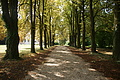 DSC04643 - Bernhard Saalfeld