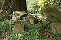 DSC04645 - Bernhard Saalfeld
