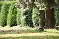 DSC04646 - Bernhard Saalfeld