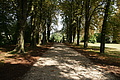 DSC04647 - Bernhard Saalfeld