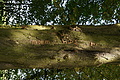 DSC04648 - Bernhard Saalfeld