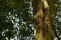 DSC04649 - Bernhard Saalfeld