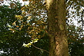 DSC04650 - Bernhard Saalfeld