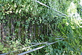 DSC04656 - Bernhard Saalfeld