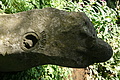 DSC04661 - Bernhard Saalfeld