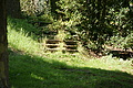 DSC04666 - Bernhard Saalfeld