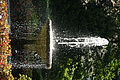 DSC04678 - Bernhard Saalfeld