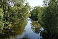 DSC04718 - Bernhard Saalfeld