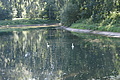 DSC04759 - Bernhard Saalfeld
