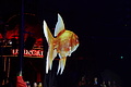 DSC07699 - Bernhard Saalfeld