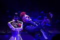 DSC07831 - Bernhard Saalfeld