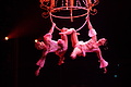 DSC07844 - Bernhard Saalfeld