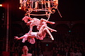 DSC07847 - Bernhard Saalfeld