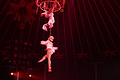 DSC07848 - Bernhard Saalfeld