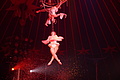 DSC07850 - Bernhard Saalfeld