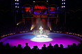 DSC08842 - Bernhard Saalfeld