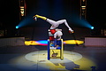 DSC08854 - Bernhard Saalfeld
