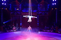 DSC08899 - Bernhard Saalfeld