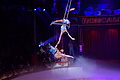 DSC08901 - Bernhard Saalfeld