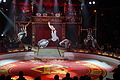 DSC08946 - Bernhard Saalfeld